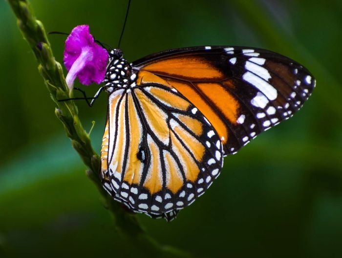 Six Key Trends from Destinations Across the World Investing in Sustainability