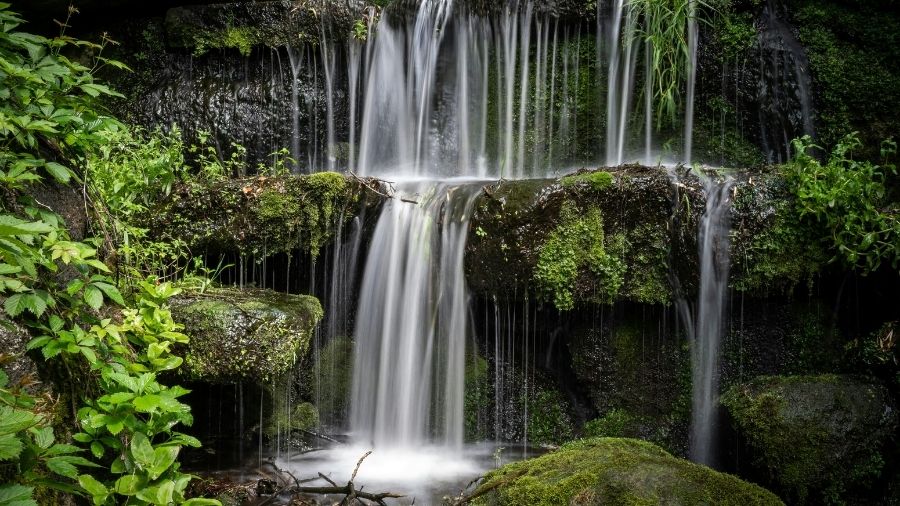 beautiful stream with moss
