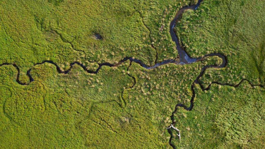 winding river from above