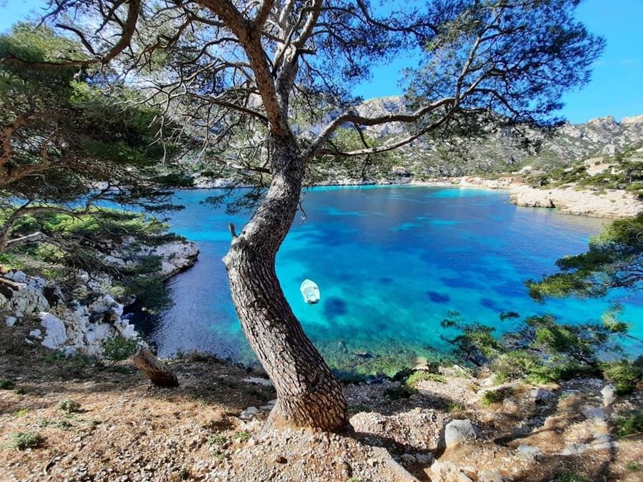 Marseille’s biodiversity and sustainability endeavours won it the IUCN World Conservation Congress
