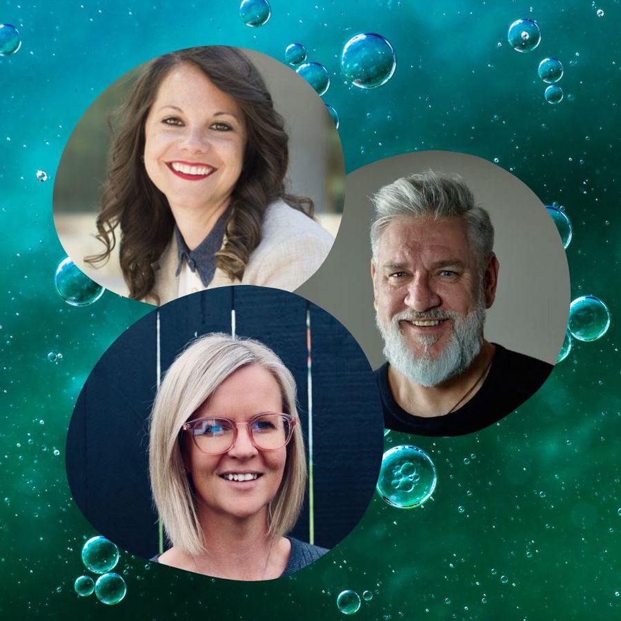 How to Get Traction to Create Enduring Value with Sustainability Projects – a Discussion