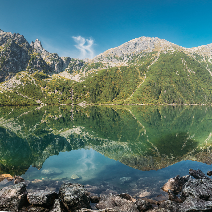 The Council of the EU Formally Adopts the Nature Restoration Law