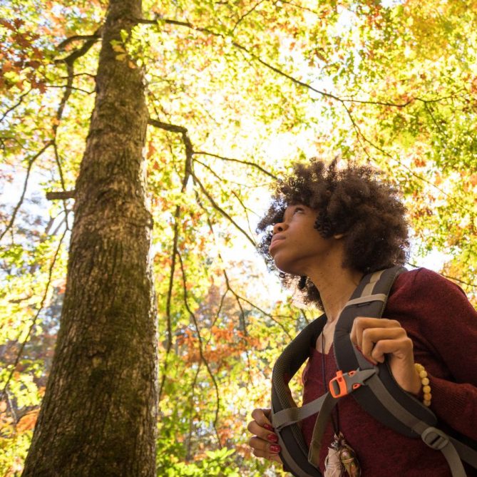 Traveller under beautiful leafy tree in autumn