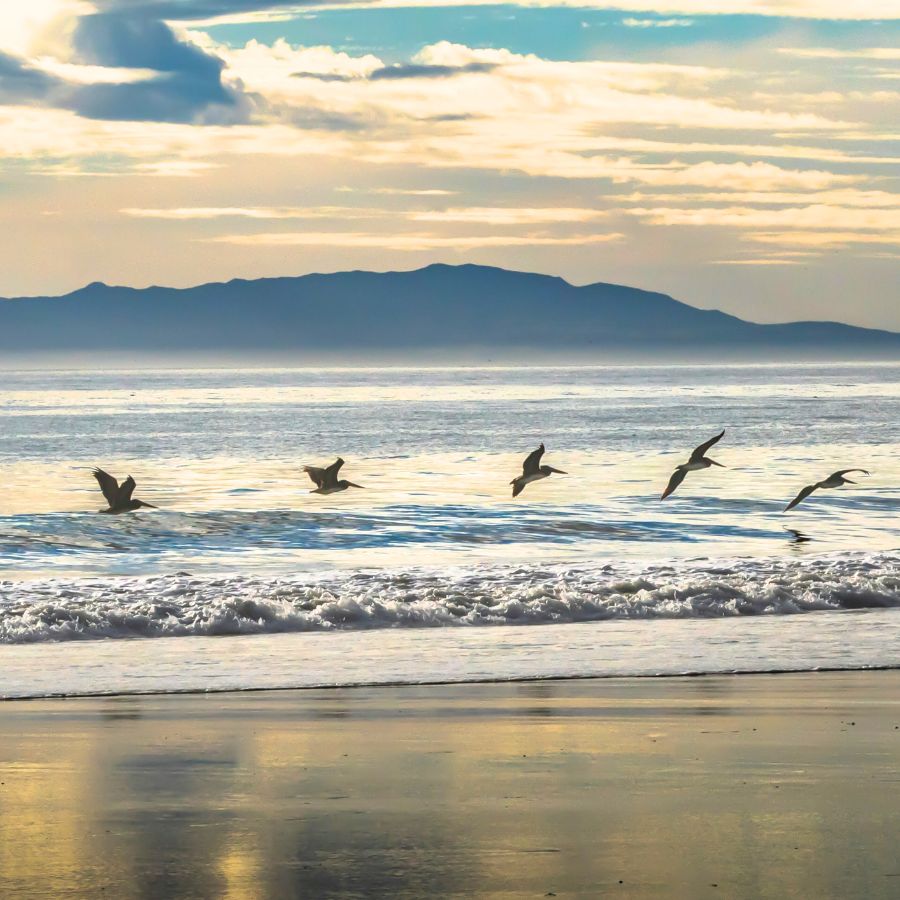 From Ambition to Destination Climate Action: Turning the Tide