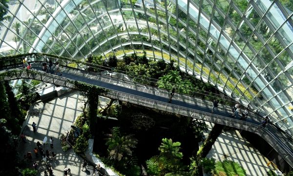 glass building with plants and escalator glass building with plants and escalator