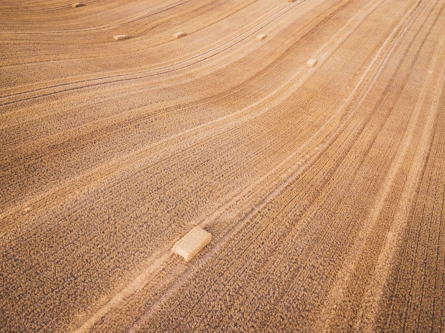 Earth Day and A Food Revolution Grounded in Love