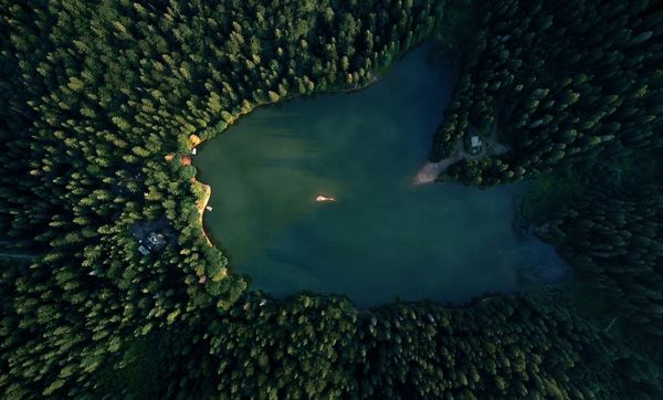 lake in forest from above lake in forest from above