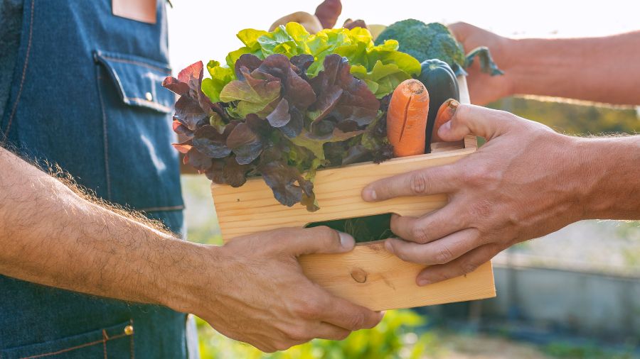man in dungarees passes a box of fresh produce