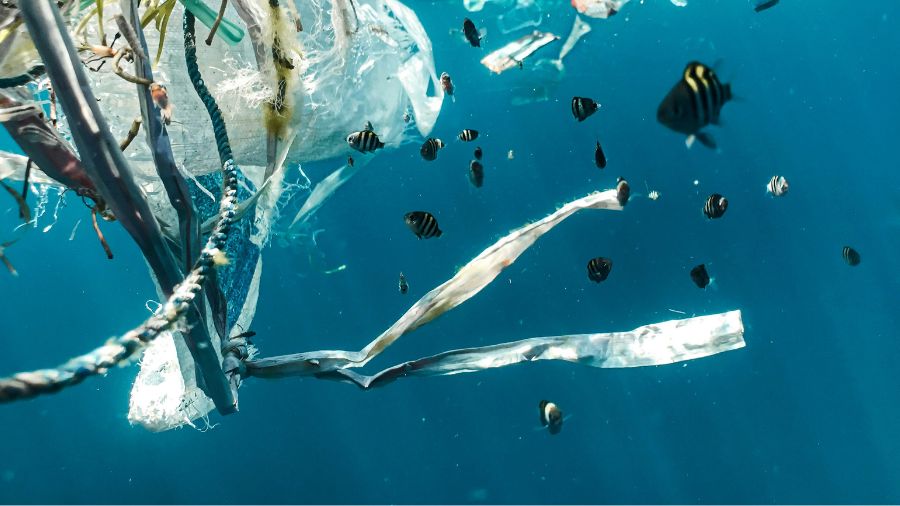 marine pollution from plastic waste