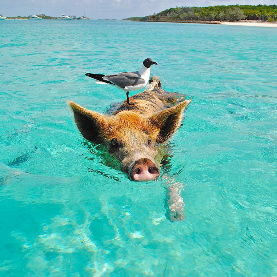 10 Game-Changing Destination Stories: Regenerative Tourism Case Studies 2024